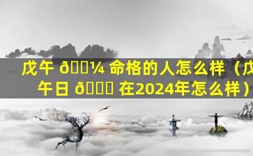 戊午 🌼 命格的人怎么样（戊午日 🐛 在2024年怎么样）
